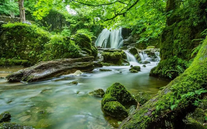高端高效科技
